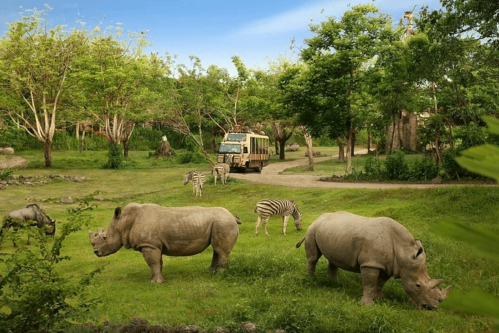 Bali Safari and Marine Park Seminyak