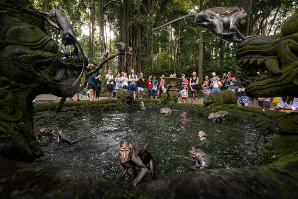 Sacred Monkey Forest Sanctuary Seminyak