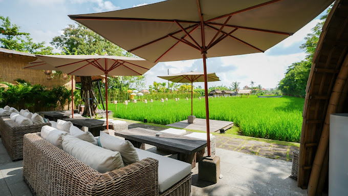 Sardine Seminyak